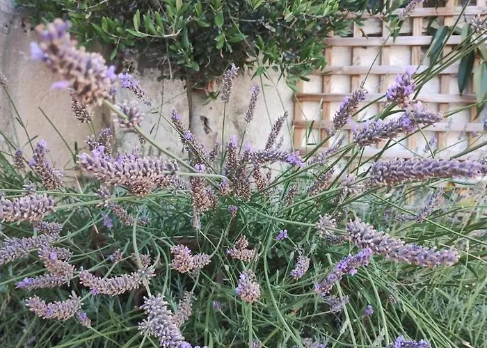 La Maison De Nénette 3*