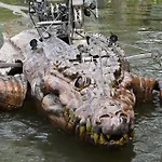 La Maison De Nenette