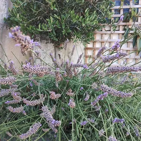 La Maison De Nenette 3*