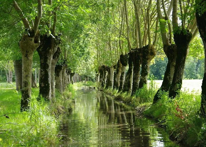 La Maison De Nenette Penzion